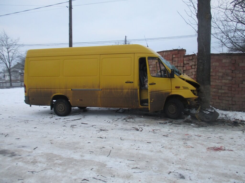 На Сторожинеччині мікроавтобус в'їхав у дерево