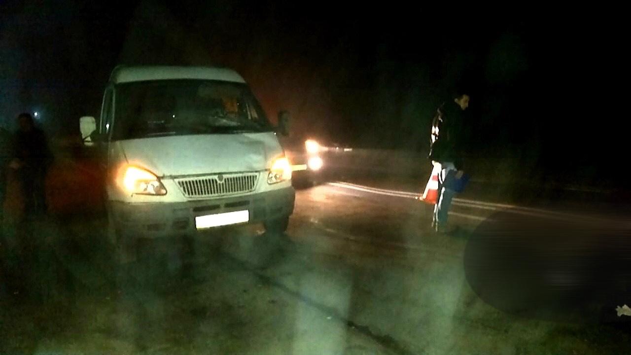 На Миколаївщині під колесами Газелі загинув пішохід - 1
