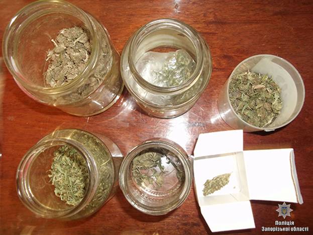 У Запорізькій області поліцейські вилучили наркотики та боєприпас