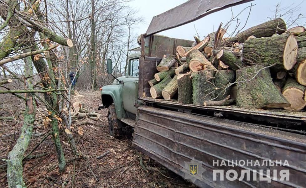 https://zp.npu.gov.ua/assets/sites/zp/news/2021/02-february/03/derevo_11.jpg