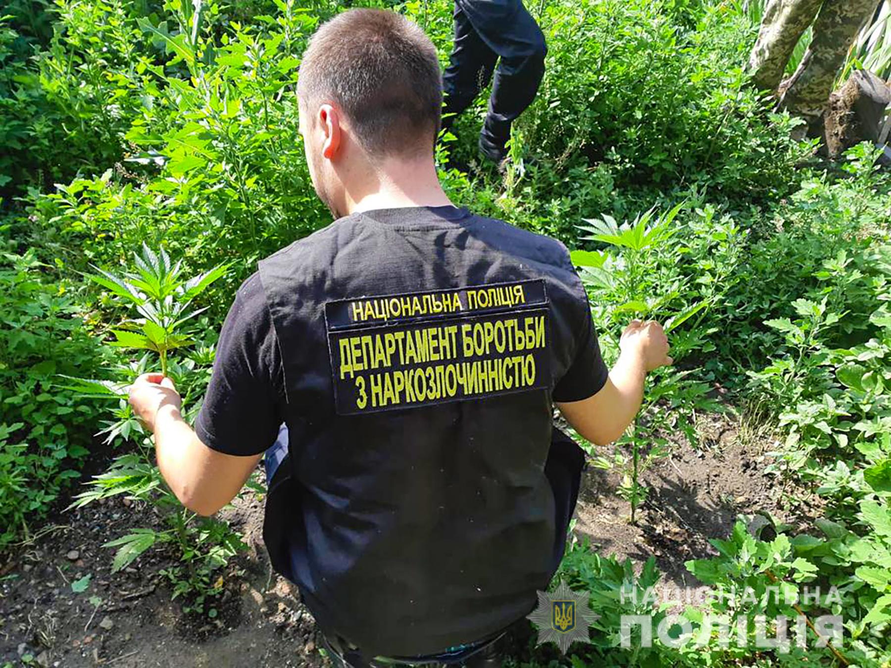 Z:\Фото\2022\червень\16\Нарко_крипт_СБУ\dbn_3.jpg