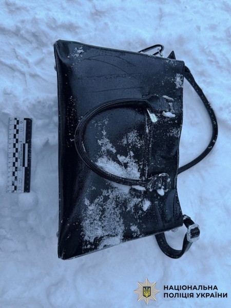 На фото зображено жіночу сумку.