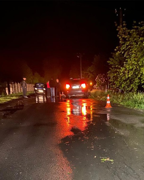 на львівщині внаслідок наїзду автомобіля загинув пішохід – поліцейські встановлюють обставини
