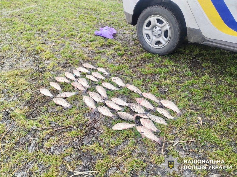 На фото зображено вилов риби