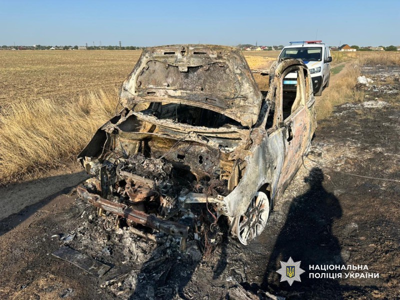 в полі згорівша автівка та поліцейська машина