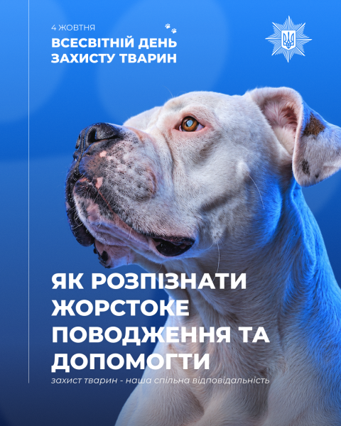 Як розпізнати жорстоке поводження та допомогти
