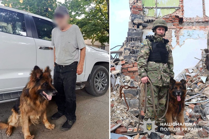Пес розшукав зниклого чоловіка