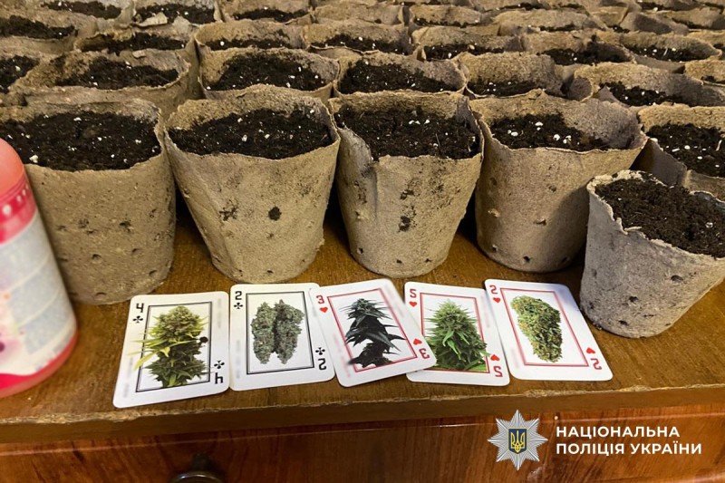 Вилучення наркотичних засобів