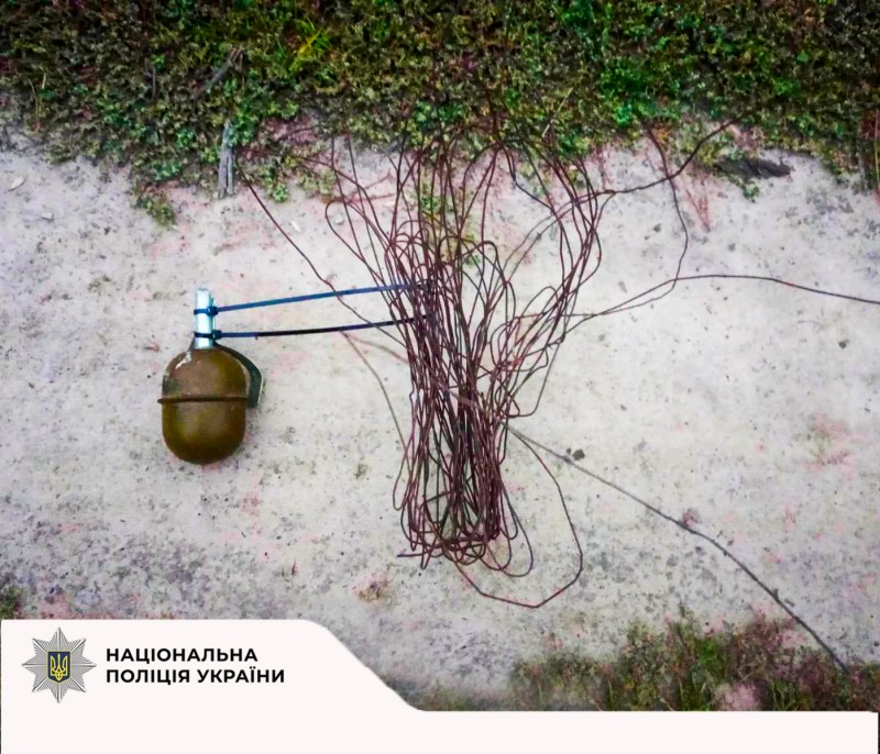 На фото зображена граната