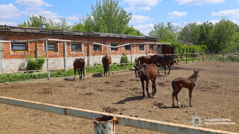 психологи поліції допомагають бійцям відновлюватися після поранень