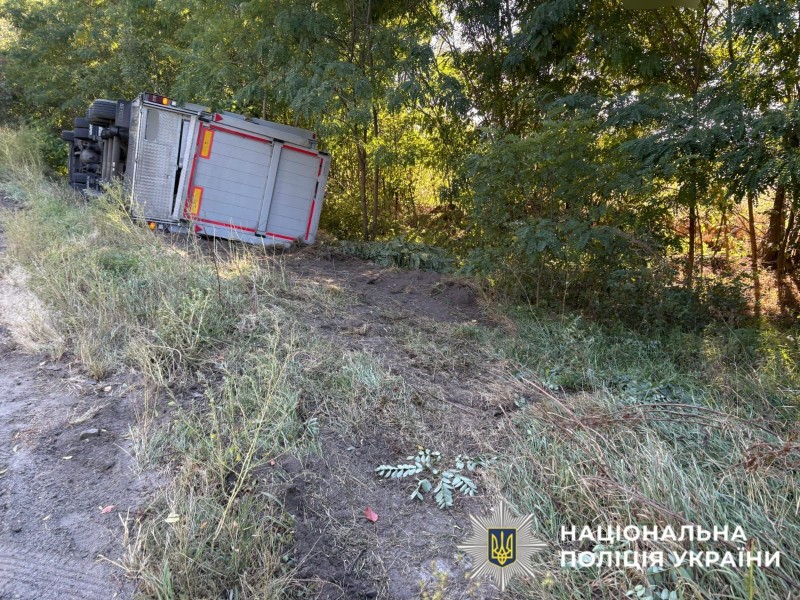 На фото зображена автівка у кюветі.