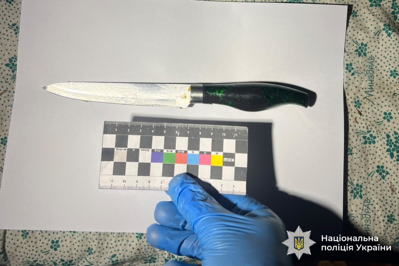 У Вінниці затримали чоловіка, який вбив співмешканку під час побутової сварки