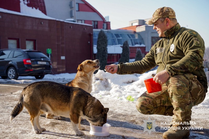 Поліцейський кінолог годує безпритульних собачок