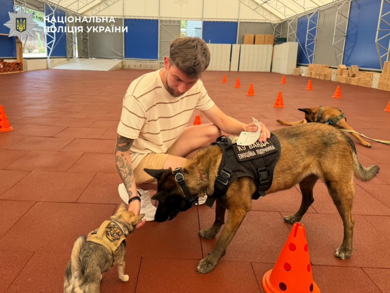 На фотографії зображено проведення заняття кінологинею Катериною Бєляєвою, спрямоване на підтримку психоемоційного стану ветеранів, які наразі проходять реабілітацію.