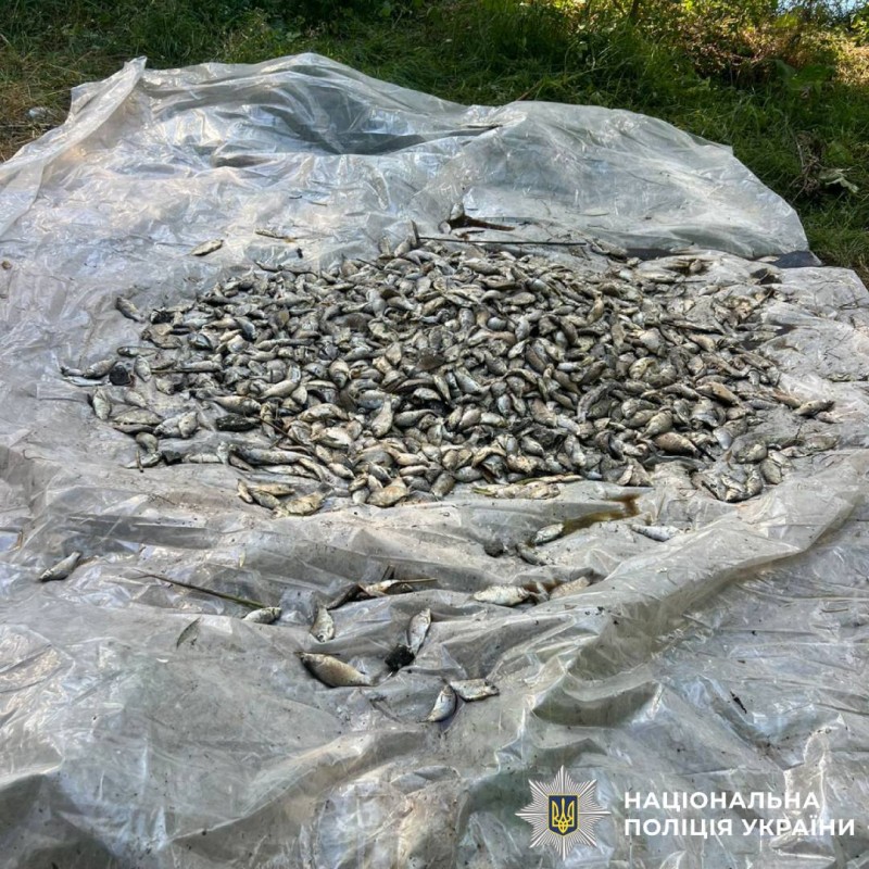 Поліцейські Харківщини розпочали кримінальне провадження за фактом масової загибелі риби