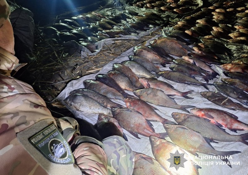 Вилучена риба