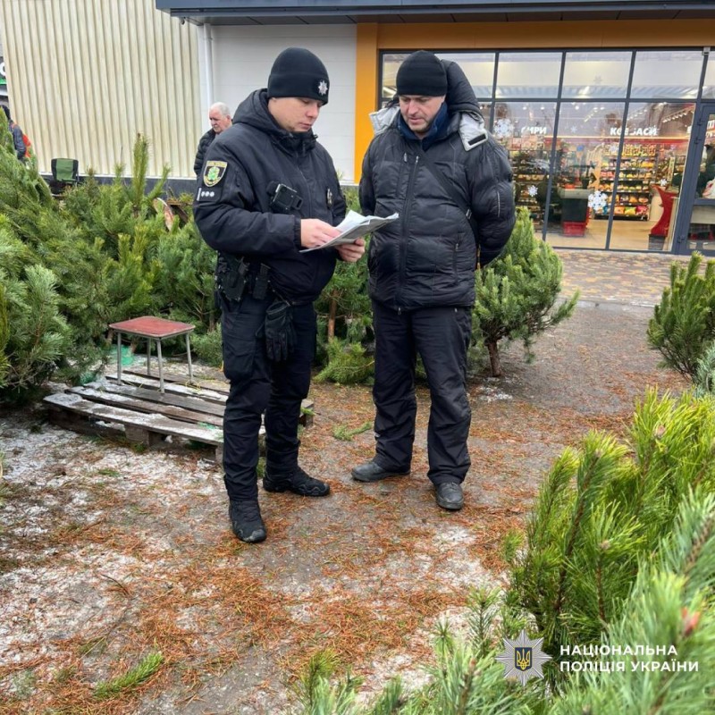 Поліція посилює заходи з протидії незаконній вирубці хвойних дерев напередодні новорічних свят