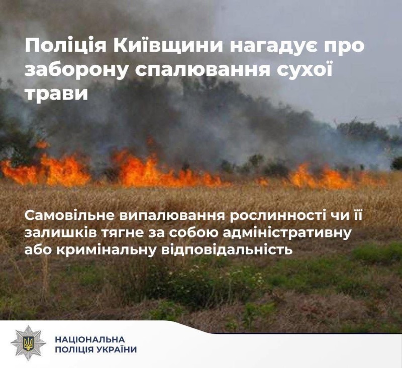 На фото зображено поле, яке палає вогнем