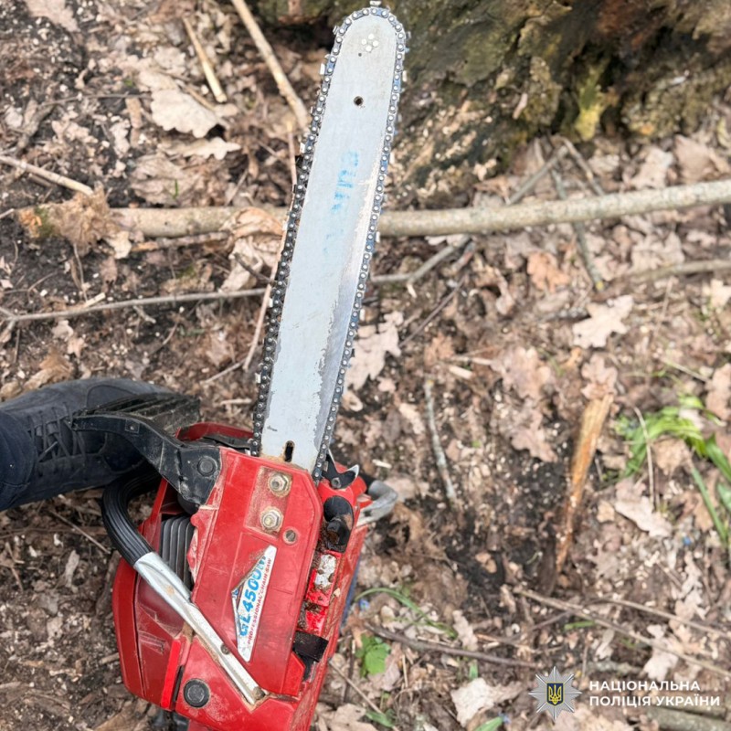 Червона бензопила з написом GL4500 лежить біля стовбура дерева серед сухого листя та гілок.