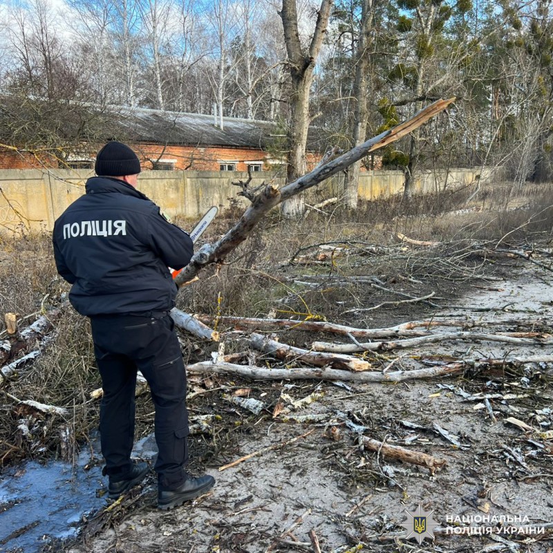 Поліцейський у формі розчищає територію від повалених гілок за допомогою бензопили.