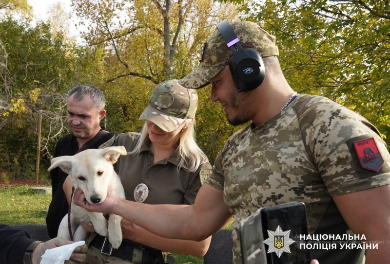 каністерапія для захисників
