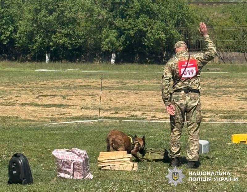 Всеукраїнські змагання кінологів,