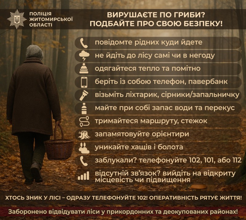 інфографіка-застережння з правилами безпеки для людей, які вирушають у ліс по гриби