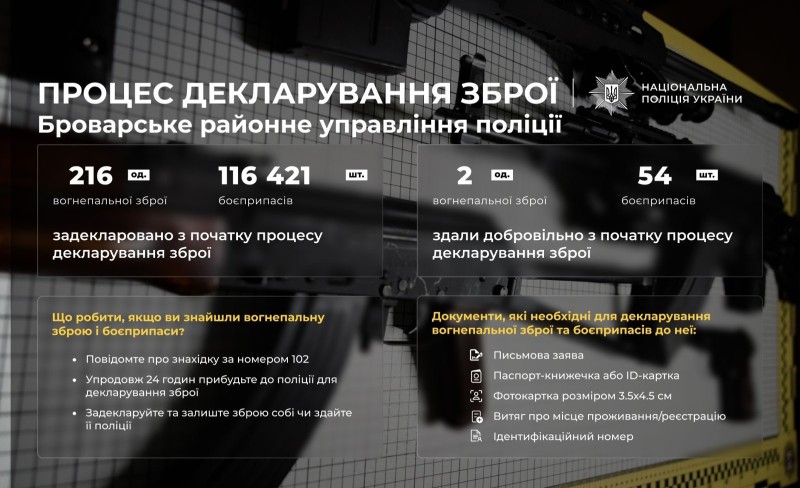 На фото зображений макет в якому описані цифри що стосуються декларування зброї