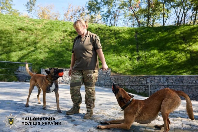 На фото кінолог та службові собаки.