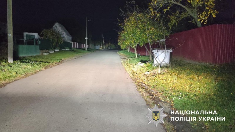 На фото вулиця села, де сталася ДТП.