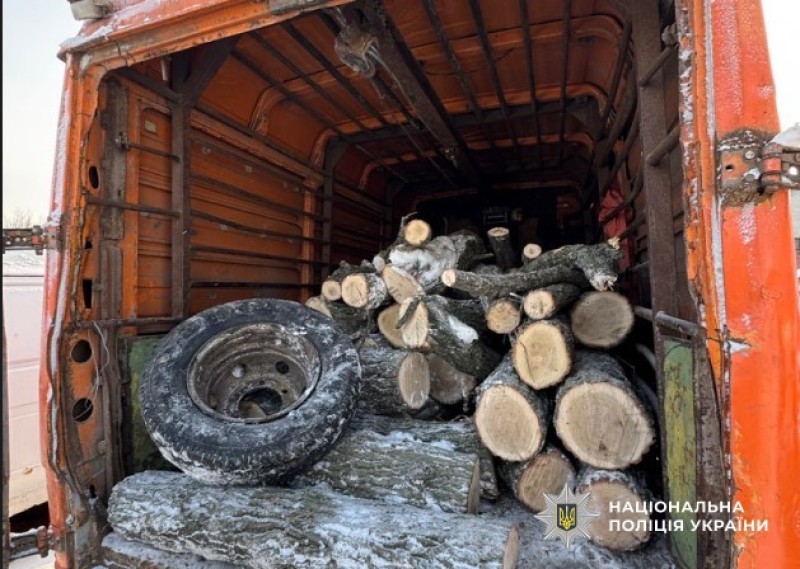 Вилучена деревина