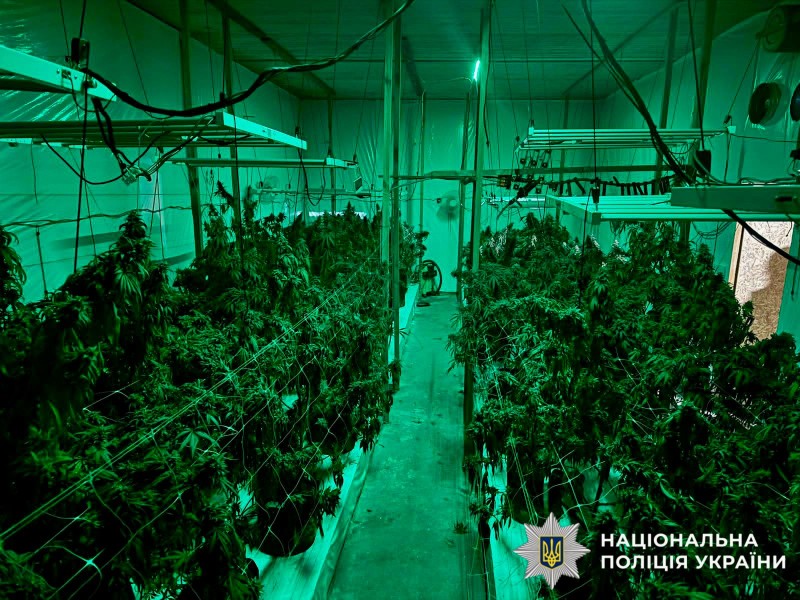 На фото зображена викрита нарколабораторія з обладнням та рослинами.