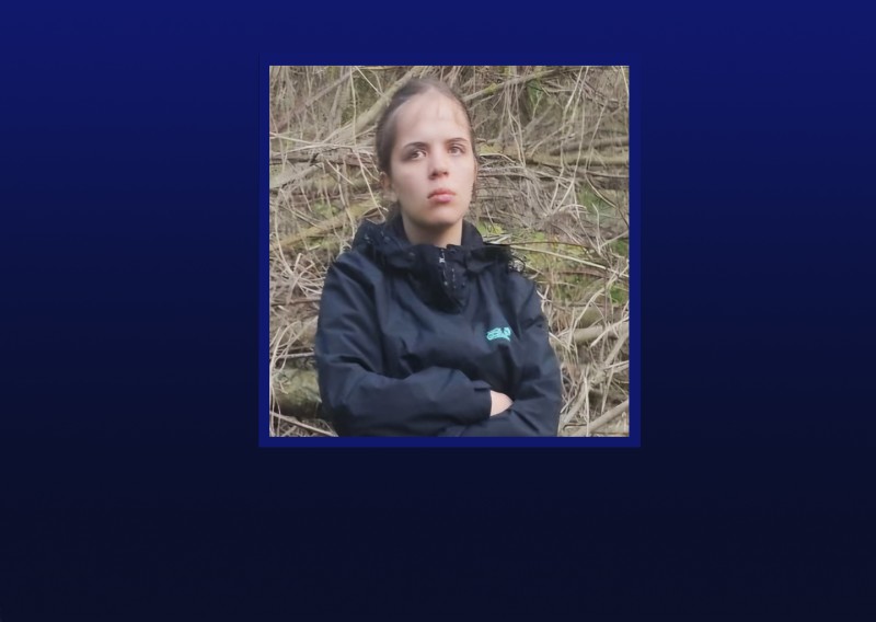Дівчина, яка розшукується