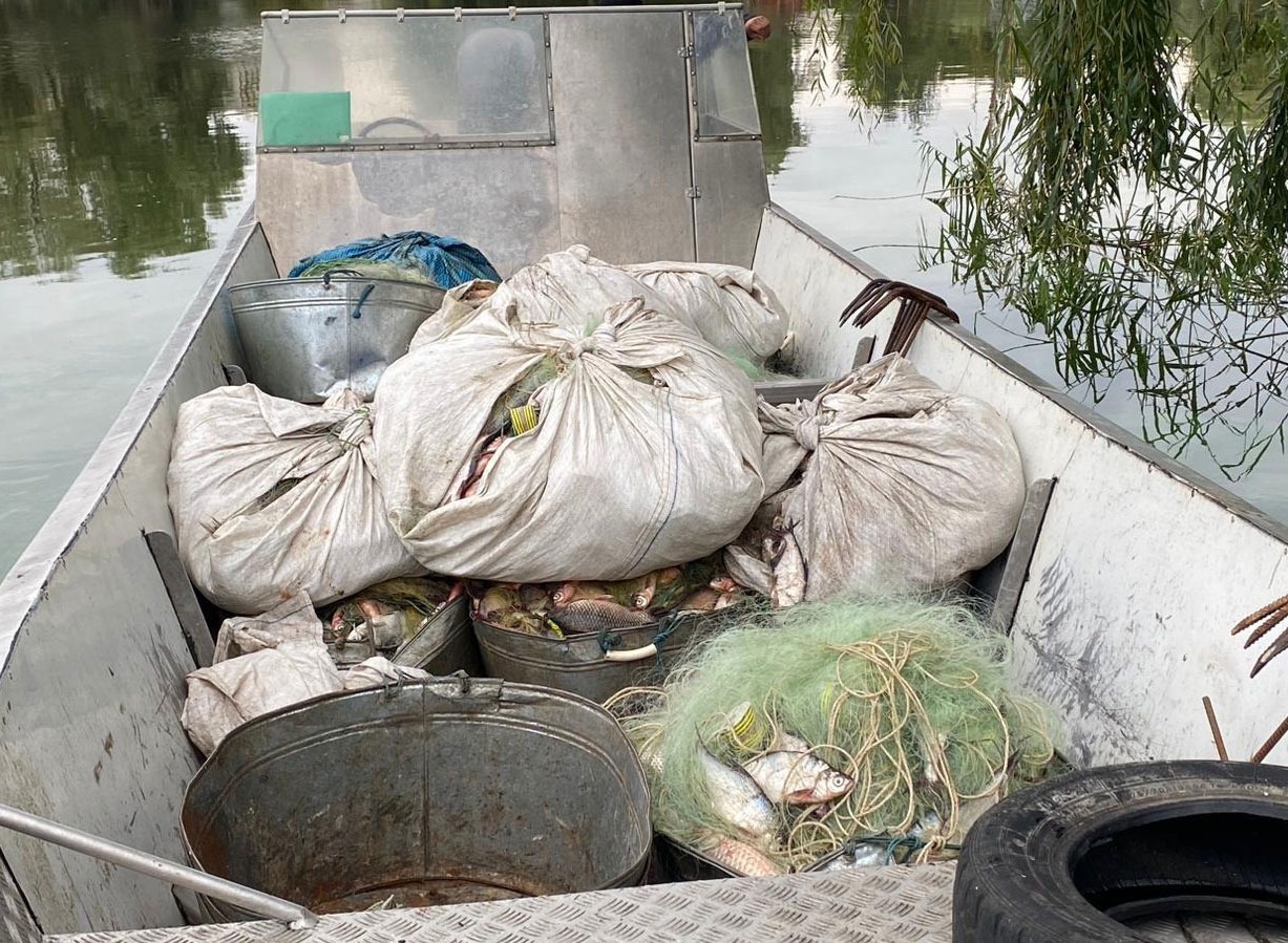 на полтавщині поліцейські та рибоохоронний патруль викрили браконьєрів на воді, які завдали збитку державі на понад 1 мільйон 200 тисяч гривень