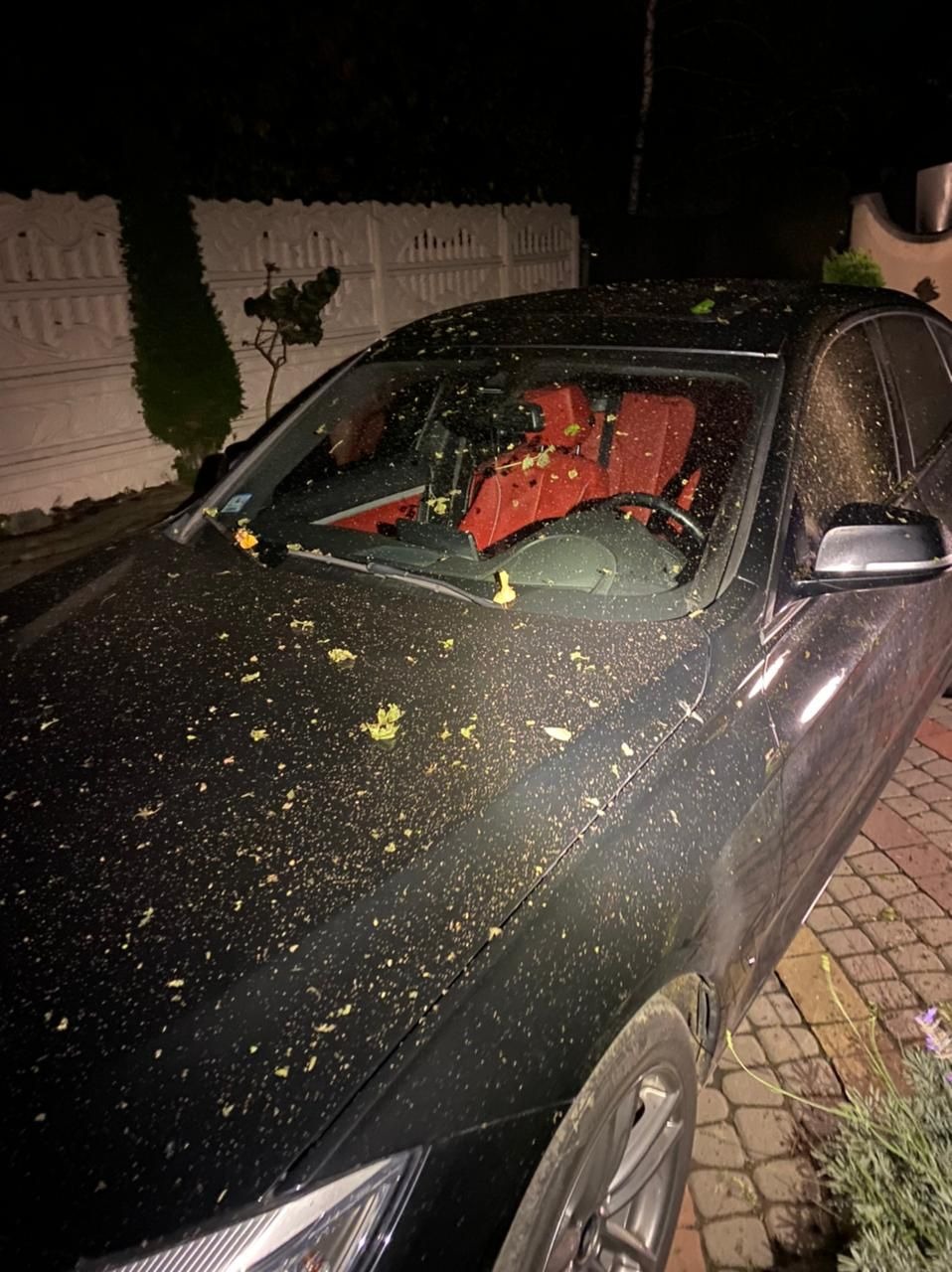 поліція закарпаття розкрила замах на умисне вбивство мукачівця: у фігуранта вилучили зброю та радянську символіку