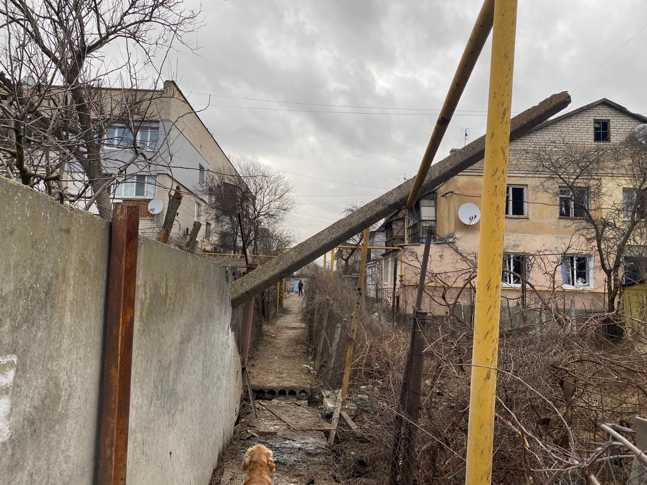 поліція відкрила 31 кримінальне провадження за фактами воєнних злочинів російських окупантів на херсонщині