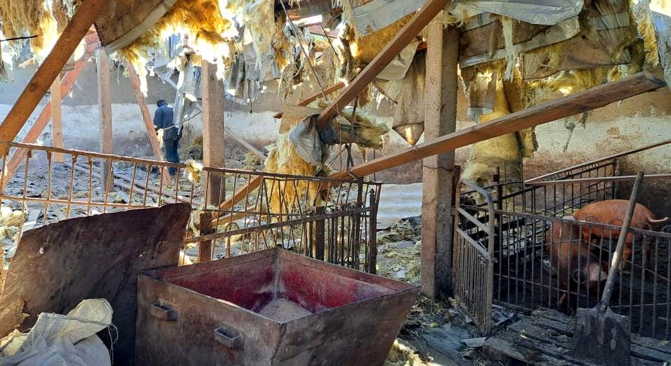 поліція відкрила 33 кримінальні провадження за фактами воєнних злочинів армії рф на херсонщині