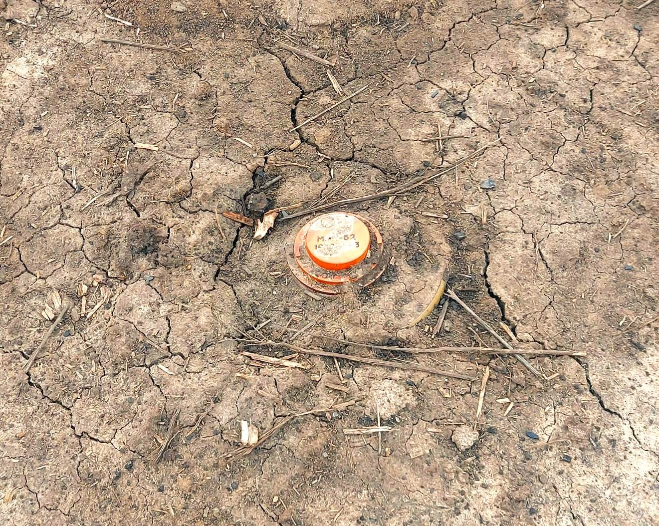 поліція відкрила 28 кримінальних проваджень за фактами воєнних злочинів російських окупантів на херсонщині