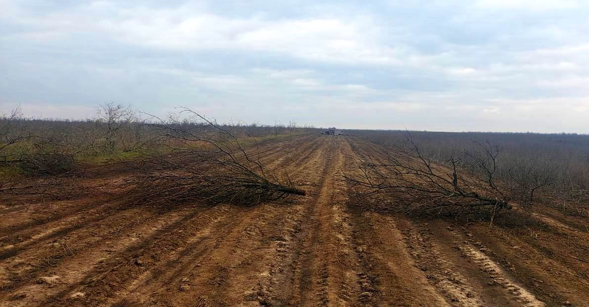 поліція відкрила 28 кримінальних проваджень за фактами воєнних злочинів російських окупантів на херсонщині