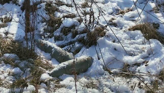 артилерійські снаряди та мінометні міни: вибухотехніки поліції луганщини вилучають вибухонебезпечні предмети