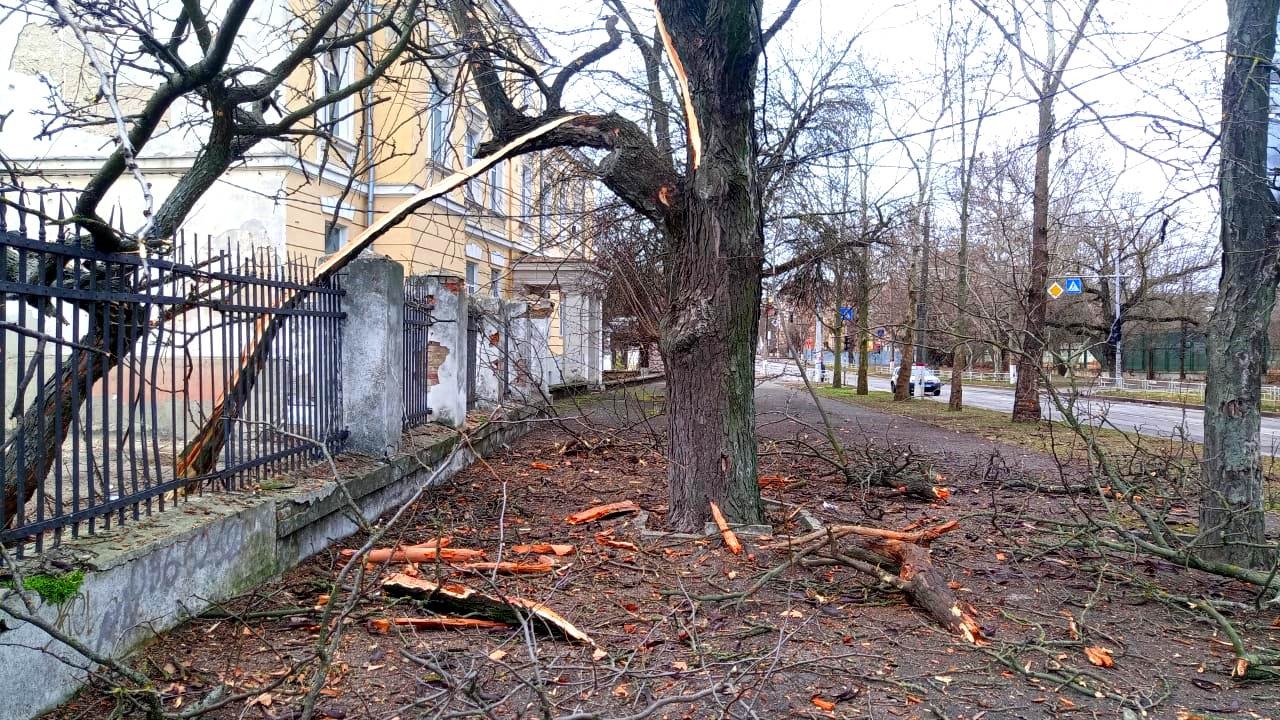 поліція відкрила 46 кримінальних проваджень за фактами воєнних злочинів російських окупантів на херсонщині
