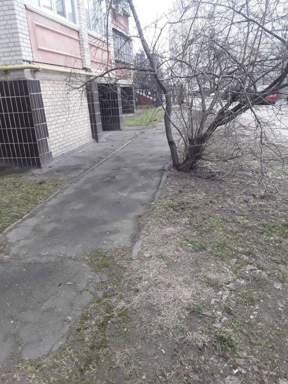 холоднокровно вбив собаку: поліція київщини повідомила про підозру зловмиснику за жорстоке поводження із тваринами в борисполі