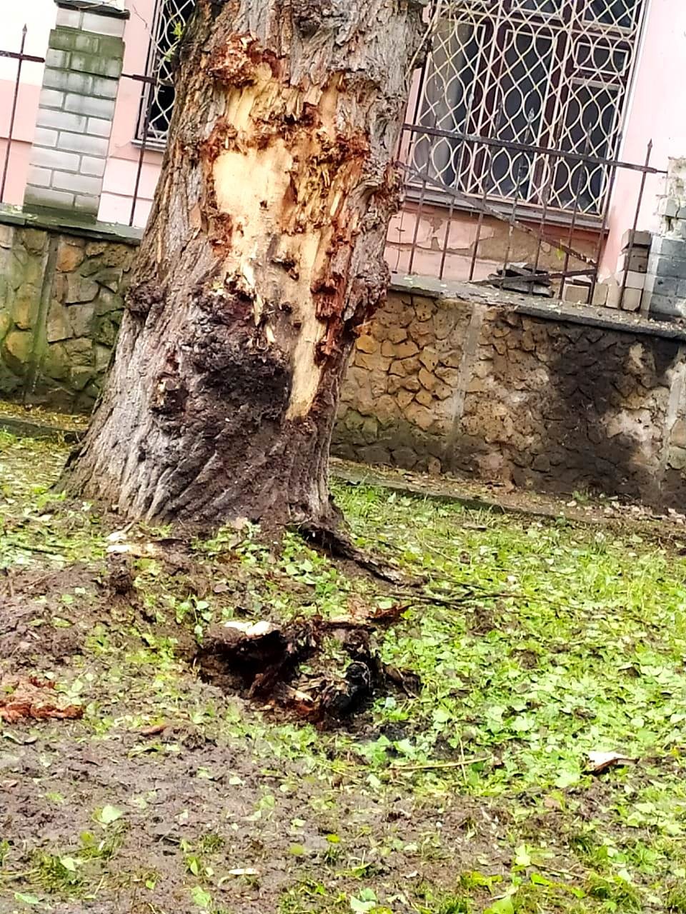 поліція відкрила 19 кримінальних проваджень за фактами воєнних злочинів російської армії на херсонщині