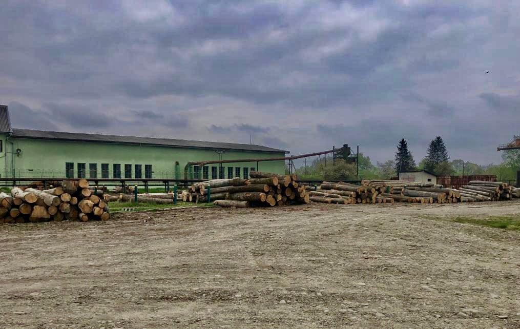 150 тисяч гривень за не облікову деревину: прикарпатські правоохоронці затримали посадовця