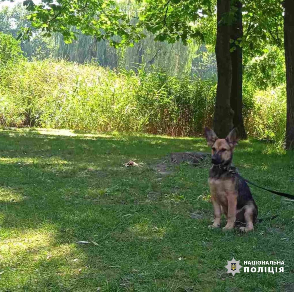 поліція черкащини розшукує зниклу безвісти неповнолітню