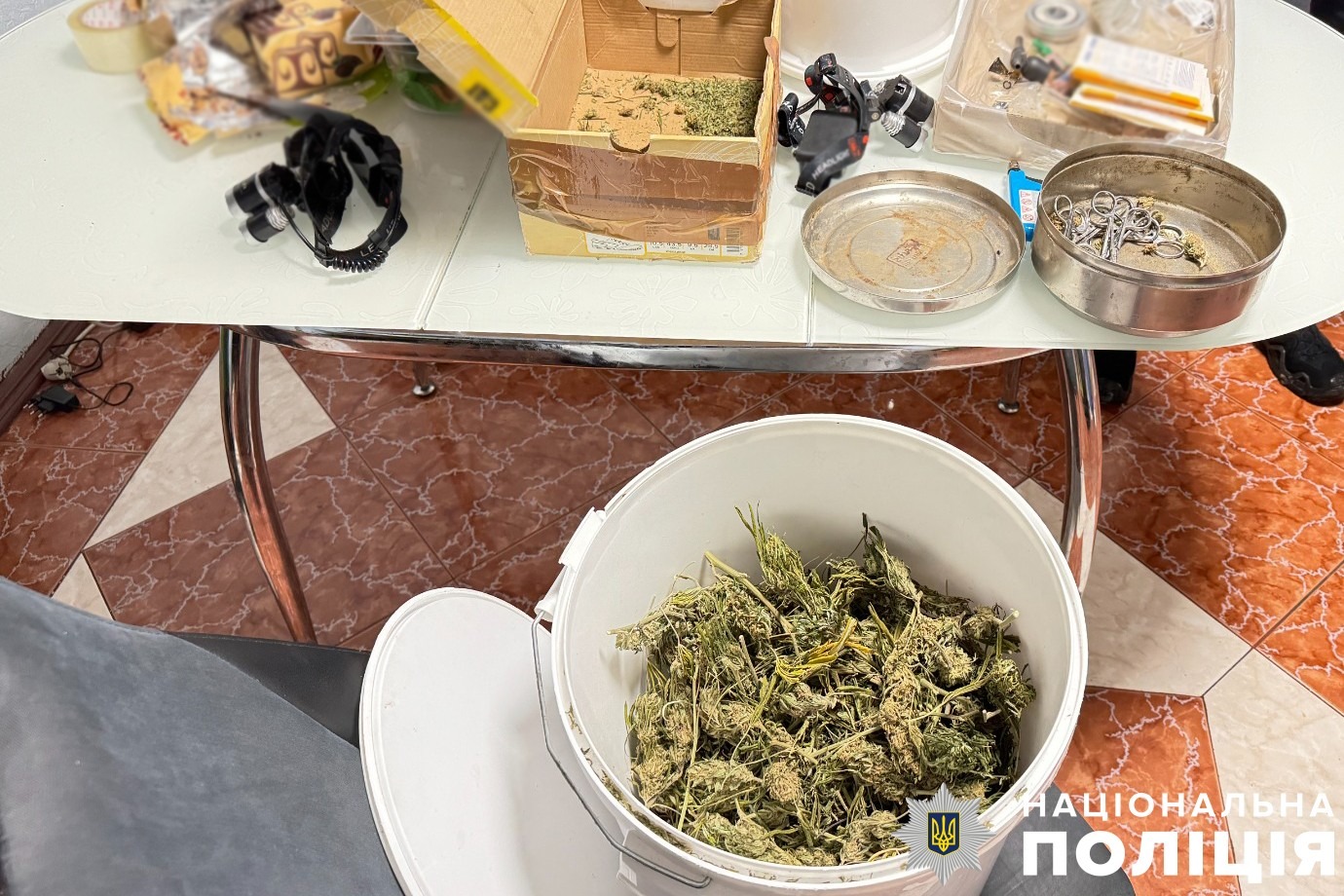 поліцейські києва спільно із сбу ліквідували масштабний наркотрафік та затримали учасників злочинного бізнесу