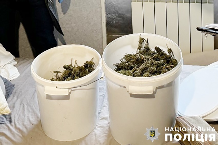 поліцейські києва спільно із сбу ліквідували масштабний наркотрафік та затримали учасників злочинного бізнесу