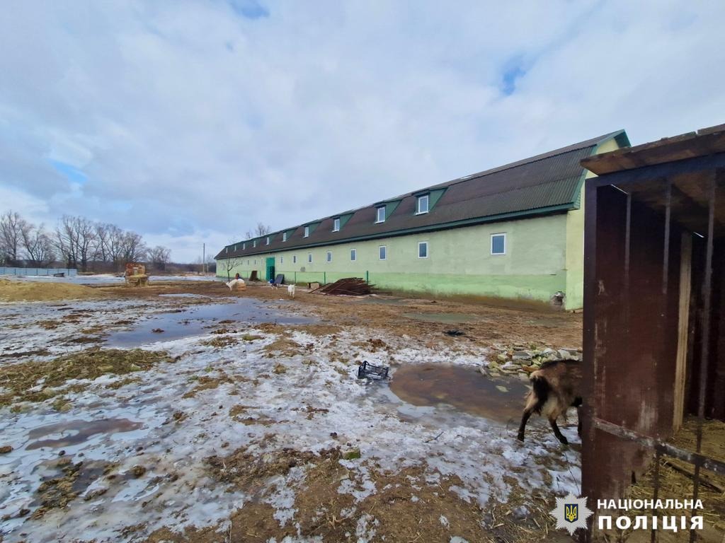 правоохоронці київщини розпочали кримінальне провадження за фактом жорстокого поводження з тваринами