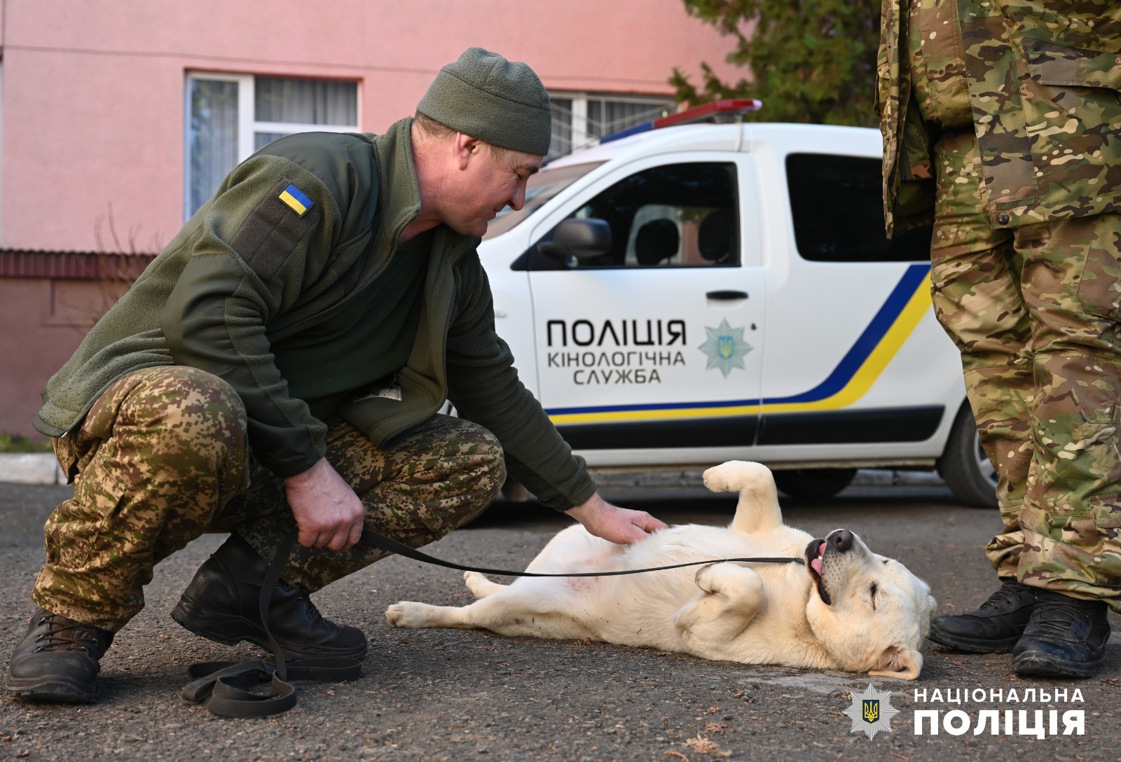 на буковині для поранених бійців, які лікуються у відомчому медзакладі, поліцейські – психологи з кінологами провели сеанс каністерапії