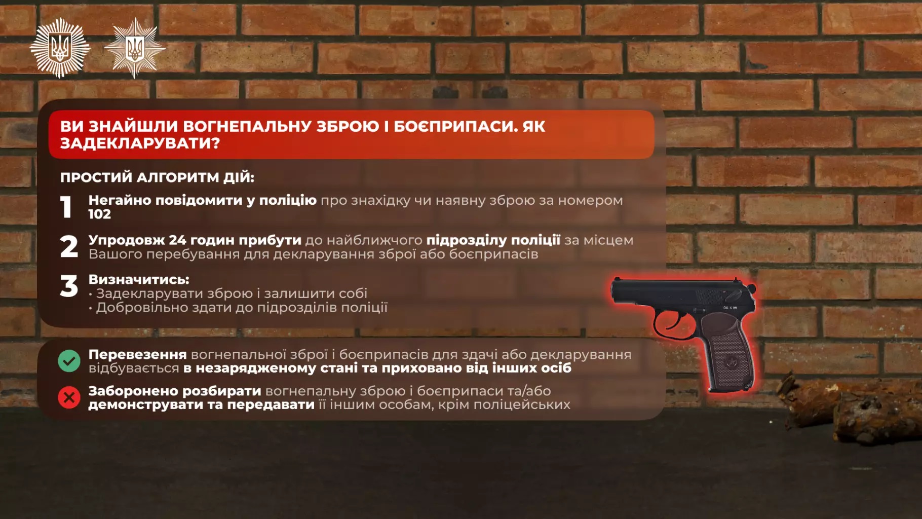 що потрібно знати про декларування зброї